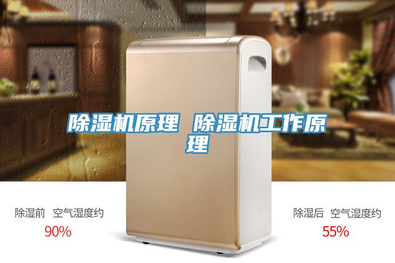榴莲视频官网APP原理 榴莲视频官网APP工作原理