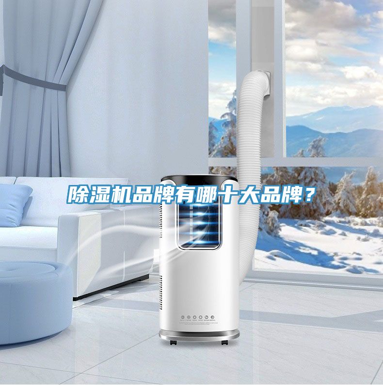 榴莲视频官网APP品牌有哪十大品牌？