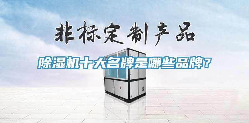 榴莲视频官网APP十大名牌是哪些品牌？