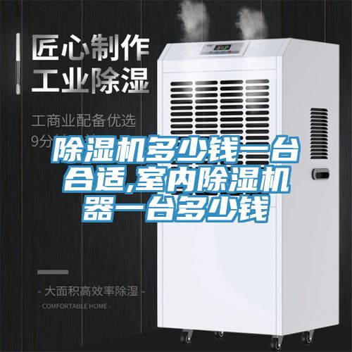 榴莲视频官网APP多少錢一台合適,室內榴莲视频官网APP器一台多少錢