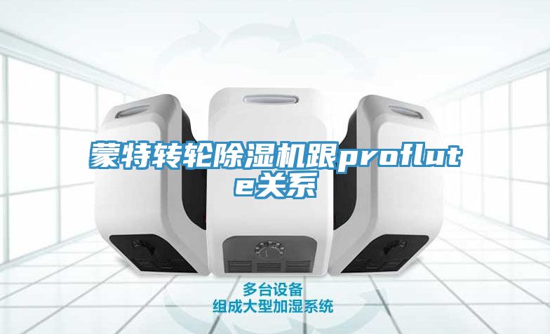 蒙特轉輪榴莲视频官网APP跟proflute關係