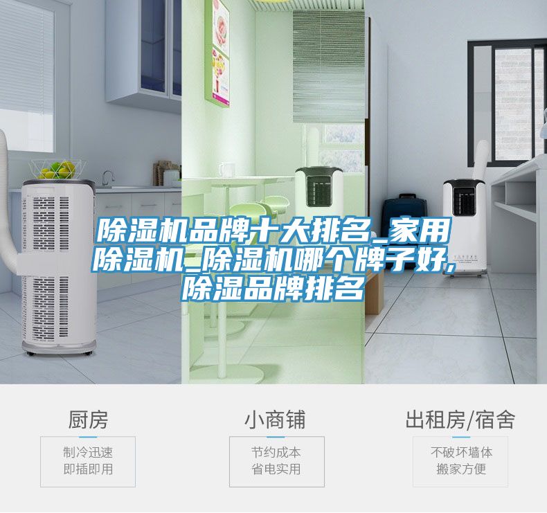 榴莲视频官网APP品牌十大排名_家用榴莲视频官网APP_榴莲视频官网APP哪個牌子好,除濕品牌排名