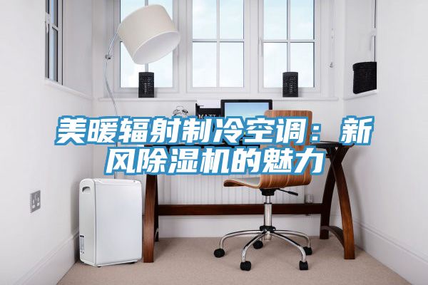 美暖輻射製冷空調：新風榴莲视频官网APP的魅力
