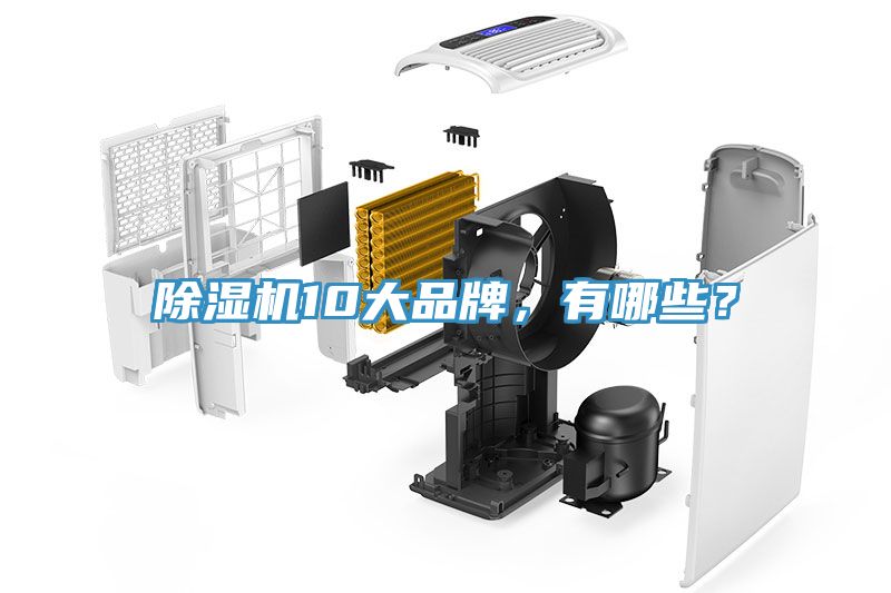 榴莲视频官网APP10大品牌，有哪些？