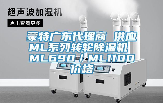 蒙特廣東代理商 供應ML係列轉輪榴莲视频官网APP ML690／ML1100價格