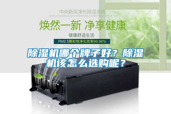 榴莲视频官网APP哪個牌子好？榴莲视频官网APP該怎麽選購呢？
