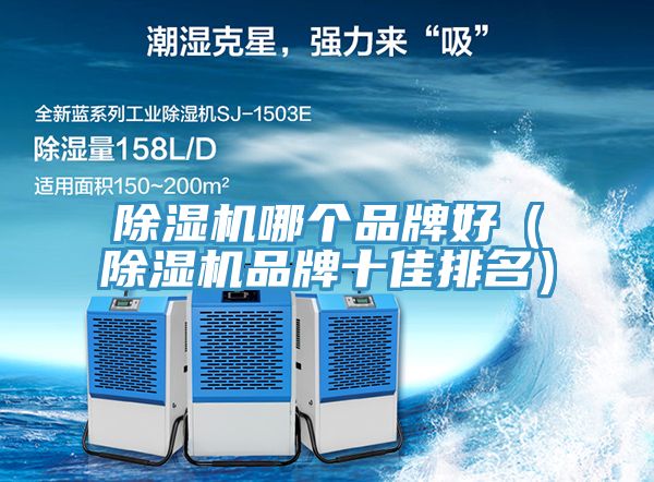 榴莲视频官网APP哪個品牌好（榴莲视频官网APP品牌十佳排名）