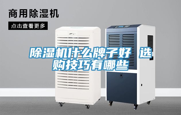 榴莲视频官网APP什麽牌子好 選購技巧有哪些