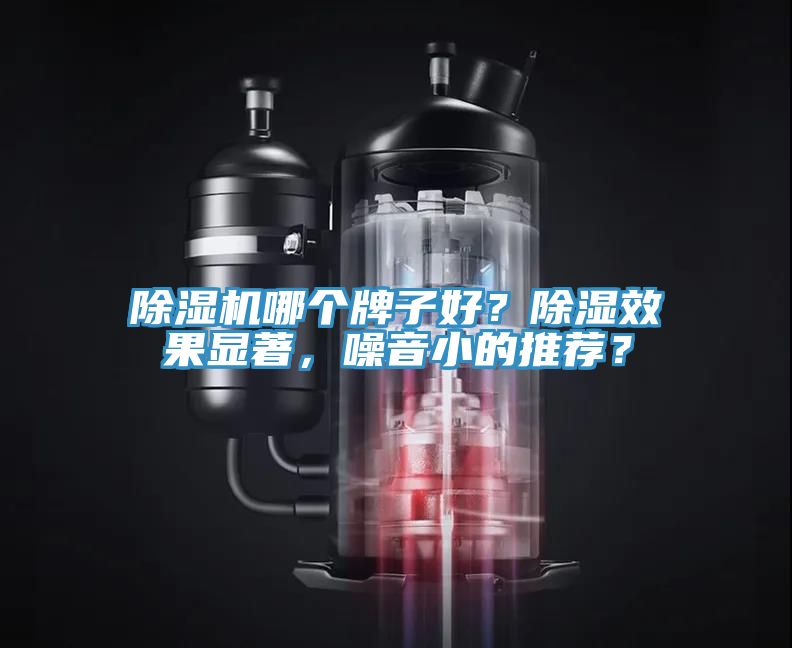 榴莲视频官网APP哪個牌子好？除濕效果顯著，噪音小的推薦？