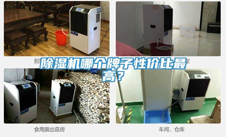 榴莲视频官网APP哪個牌子性價比最高？