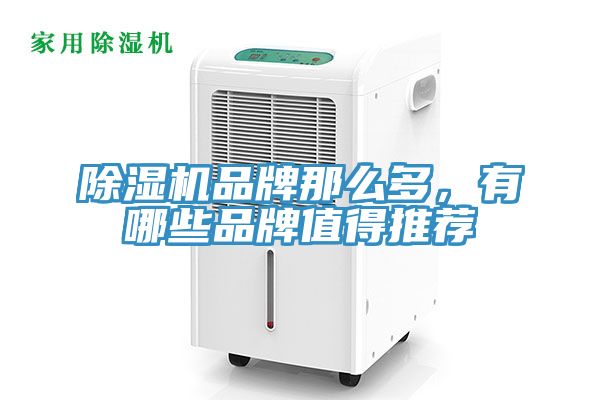 榴莲视频官网APP品牌那麽多，有哪些品牌值得推薦