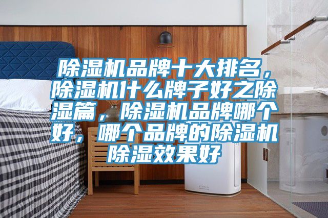 榴莲视频官网APP品牌十大排名，榴莲视频官网APP什麽牌子好之除濕篇，榴莲视频官网APP品牌哪個好，哪個品牌的榴莲视频官网APP除濕效果好