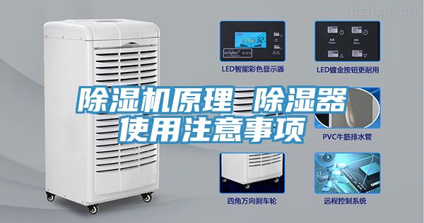 榴莲视频官网APP原理 除濕器使用注意事項