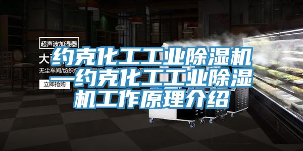 約克化工工業榴莲视频官网APP—約克化工工業榴莲视频官网APP工作原理介紹