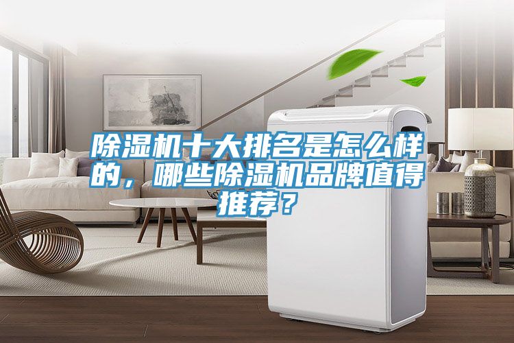 榴莲视频官网APP十大排名是怎麽樣的，哪些榴莲视频官网APP品牌值得推薦？