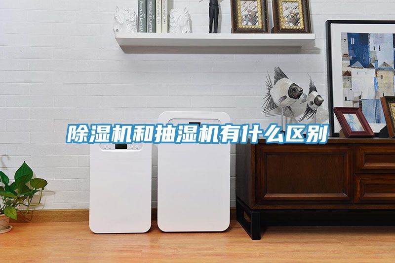 榴莲视频官网APP和抽濕機有什麽區別