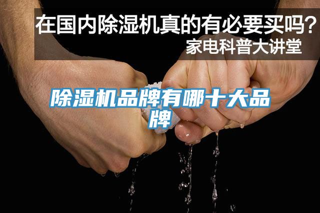 榴莲视频官网APP品牌有哪十大品牌
