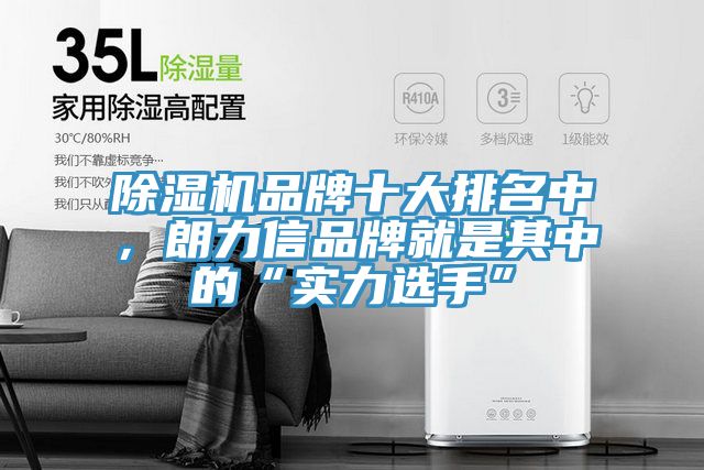 榴莲视频官网APP品牌十大排名中，朗力信品牌就是其中的“實力選手”