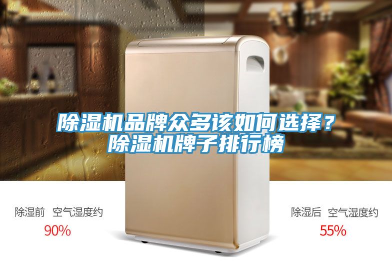 榴莲视频官网APP品牌眾多該如何選擇？榴莲视频官网APP牌子排行榜