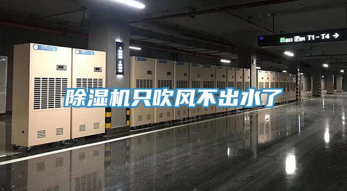 榴莲视频官网APP隻吹風不出水了