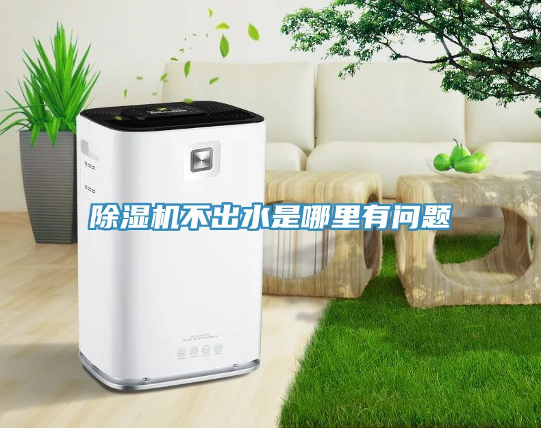 榴莲视频官网APP不出水是哪裏有問題