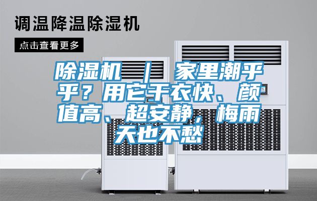榴莲视频官网APP ｜ 家裏潮乎乎？用它幹衣快、顏值高、超安靜，梅雨天也不愁