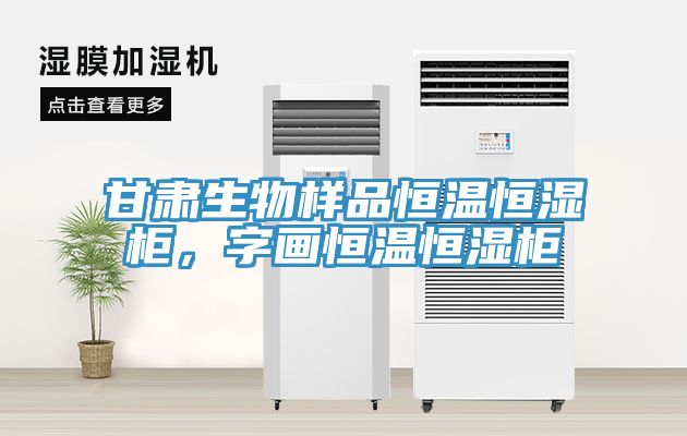 甘肅生物樣品恒溫恒濕櫃，字畫恒溫恒濕櫃
