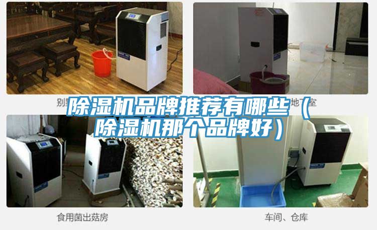 榴莲视频官网APP品牌推薦有哪些（榴莲视频官网APP那個品牌好）