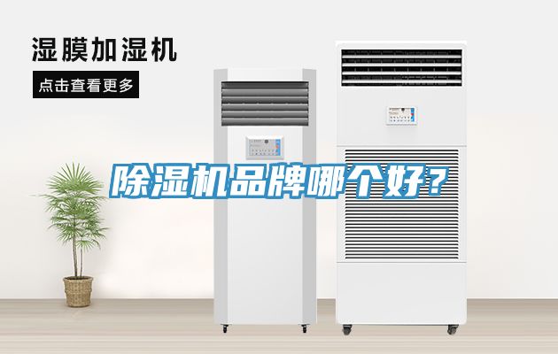 榴莲视频官网APP品牌哪個好？