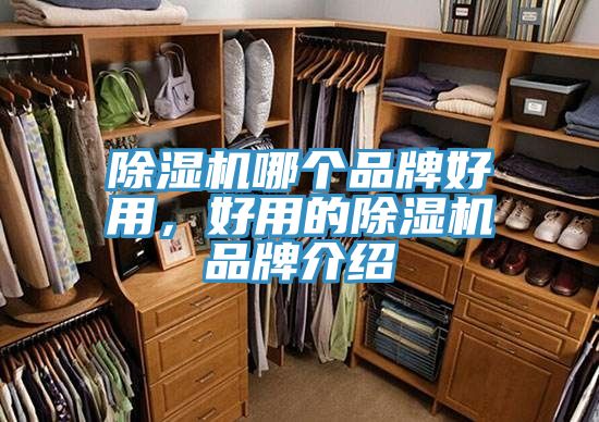 榴莲视频官网APP哪個品牌好用，好用的榴莲视频官网APP品牌介紹