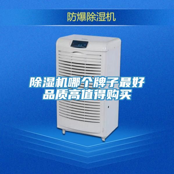 榴莲视频官网APP哪個牌子最好品質高值得購買
