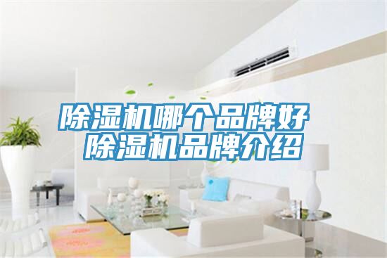 榴莲视频官网APP哪個品牌好 榴莲视频官网APP品牌介紹