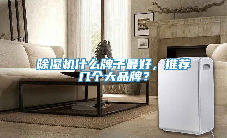 榴莲视频官网APP什麽牌子最好，推薦幾個大品牌？