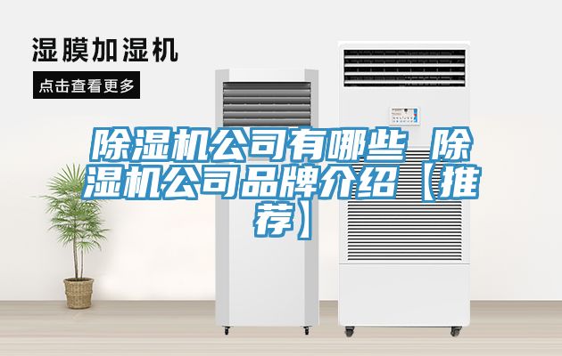 榴莲视频官网APP公司有哪些 榴莲视频官网APP公司品牌介紹【推薦】