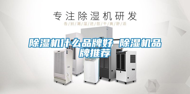 榴莲视频官网APP什麽品牌好 榴莲视频官网APP品牌推薦
