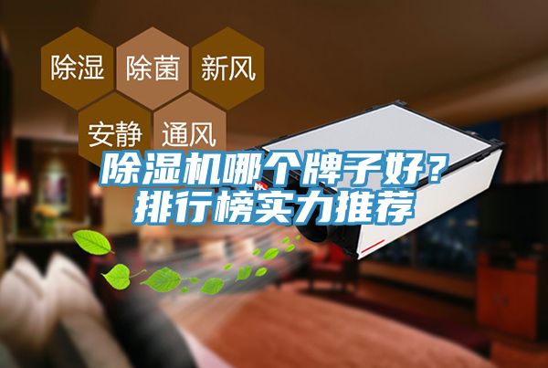 榴莲视频官网APP哪個牌子好？排行榜實力推薦