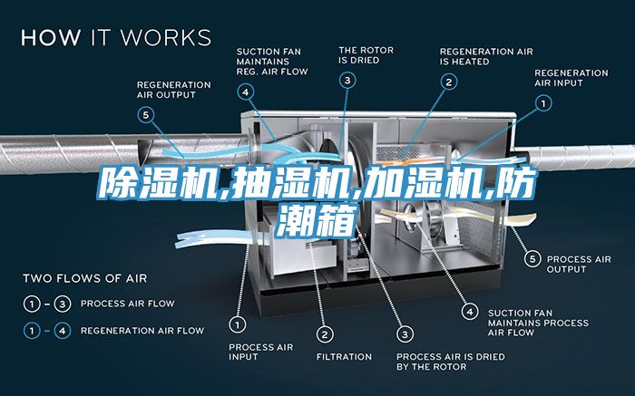 榴莲视频官网APP,抽濕機,加濕機,防潮箱