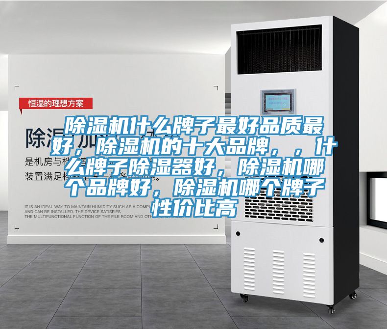 榴莲视频官网APP什麽牌子最好品質最好，榴莲视频官网APP的十大品牌，，什麽牌子除濕器好，榴莲视频官网APP哪個品牌好，榴莲视频官网APP哪個牌子性價比高