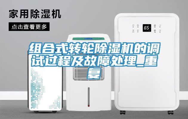 組合式轉輪榴莲视频官网APP的調試過程及故障處理_重複