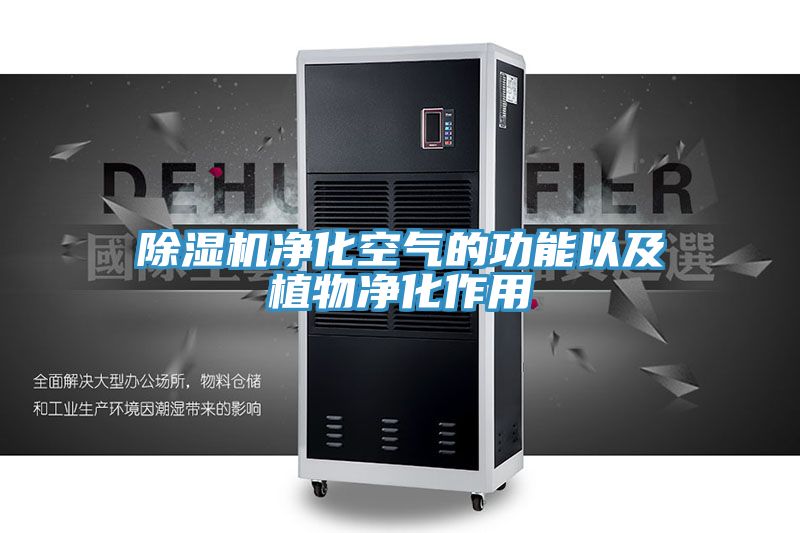 榴莲视频官网APP淨化空氣的功能以及植物淨化作用