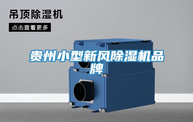 貴州小型新風榴莲视频官网APP品牌