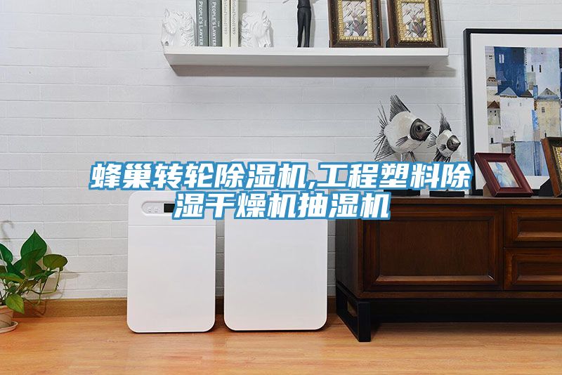 蜂巢轉輪榴莲视频官网APP,工程塑料除濕幹燥機抽濕機