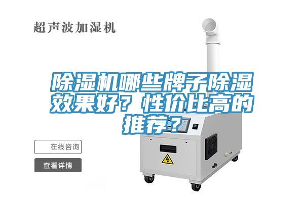 榴莲视频官网APP哪些牌子除濕效果好？性價比高的推薦？