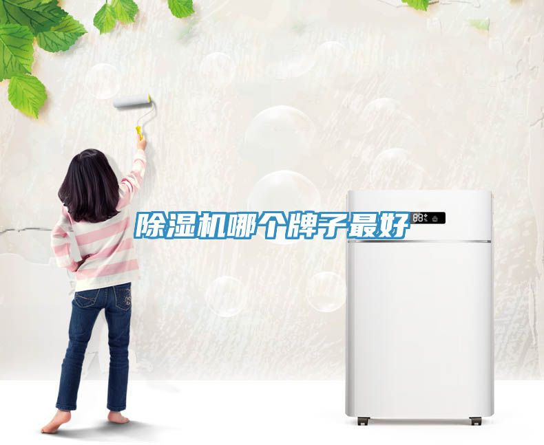 榴莲视频官网APP哪個牌子最好