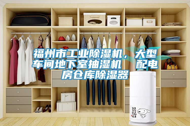福州市工業榴莲视频官网APP，大型車間地下室抽濕機  配電房倉庫除濕器