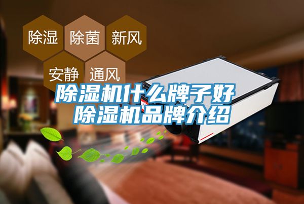 榴莲视频官网APP什麽牌子好 榴莲视频官网APP品牌介紹