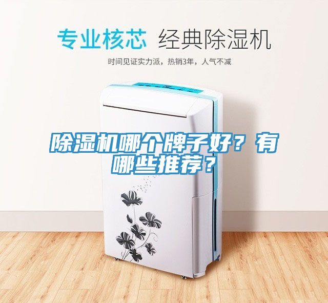 榴莲视频官网APP哪個牌子好？有哪些推薦？