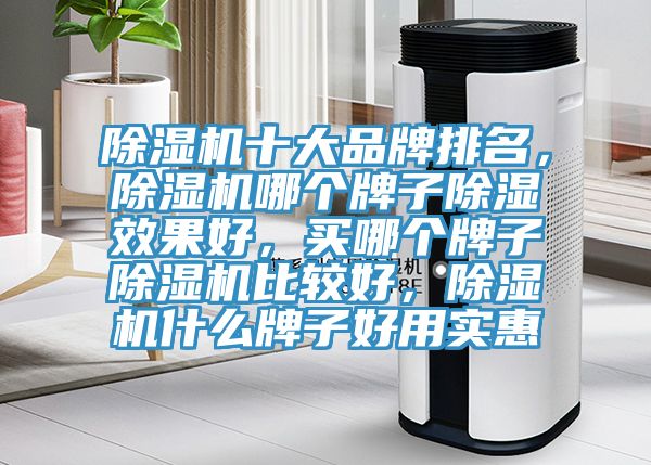 榴莲视频官网APP十大品牌排名，榴莲视频官网APP哪個牌子除濕效果好，買哪個牌子榴莲视频官网APP比較好，榴莲视频官网APP什麽牌子好用實惠