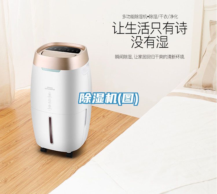 榴莲视频官网APP(圖)