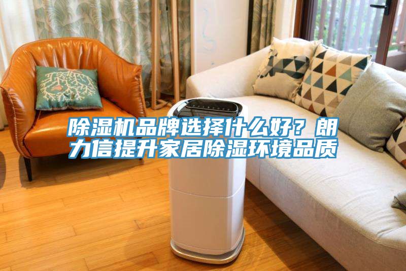 榴莲视频官网APP品牌選擇什麽好？朗力信提升家居除濕環境品質